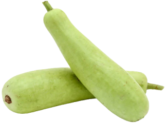 Bottle Gourd-लौका - Fresh Vegetables at Mandi
