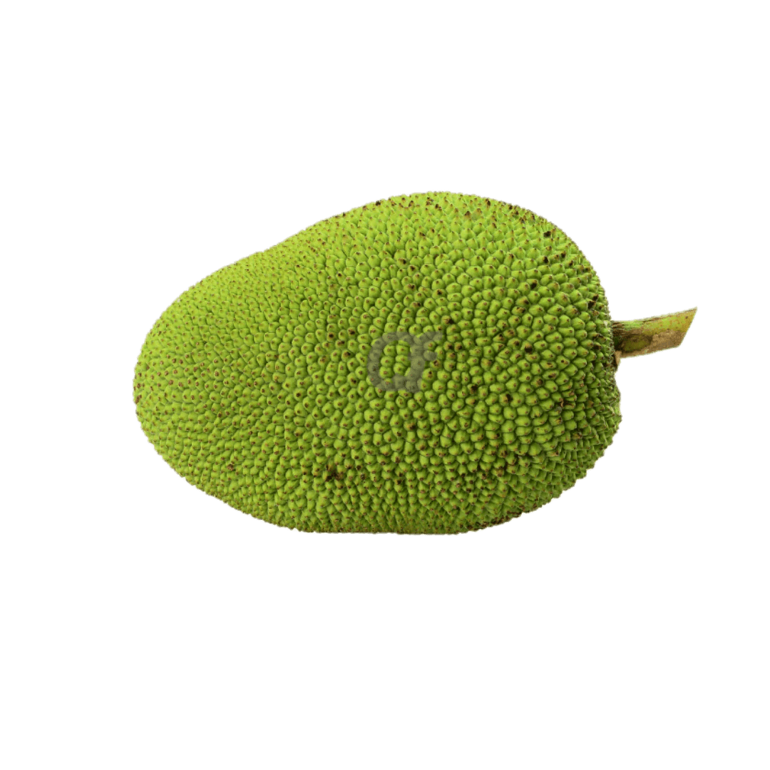 Jackfruit raw-रुख कटहर (कच्चा) - Fresh Vegetables at Mandi