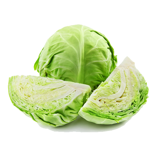 Green Cabbage-(हरियो बन्दा) - Fresh Vegetables at Mandi