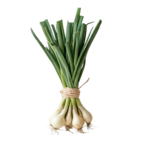Green Onion-प्याज हरियो - Fresh Vegetables at Mandi