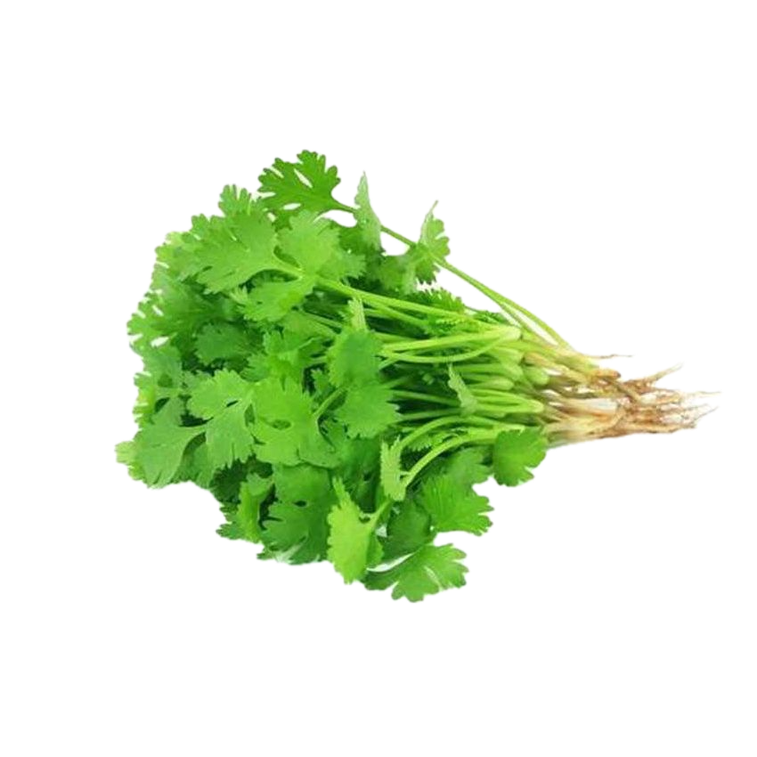 Coriander Leaves-हरियो धनिया - Fresh Vegetables at Mandi