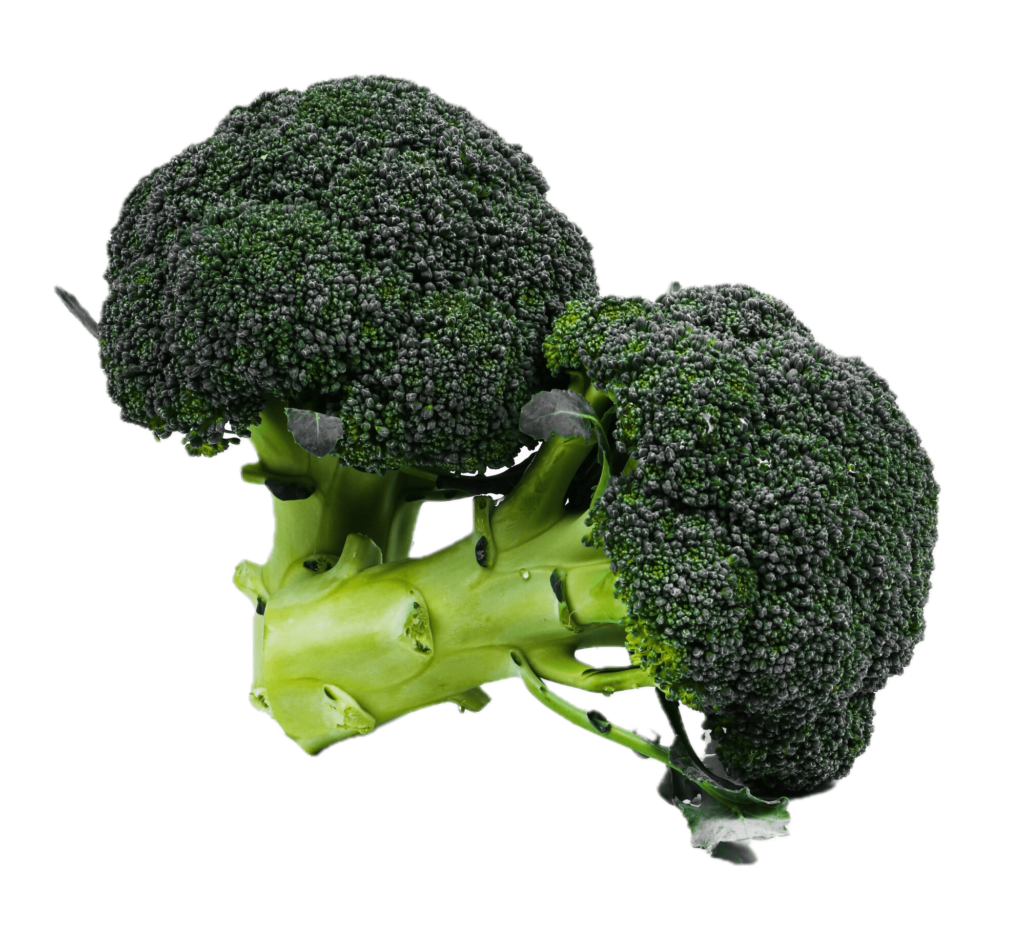 Broccoli-ब्रोकाउली - Fresh Vegetables at Mandi