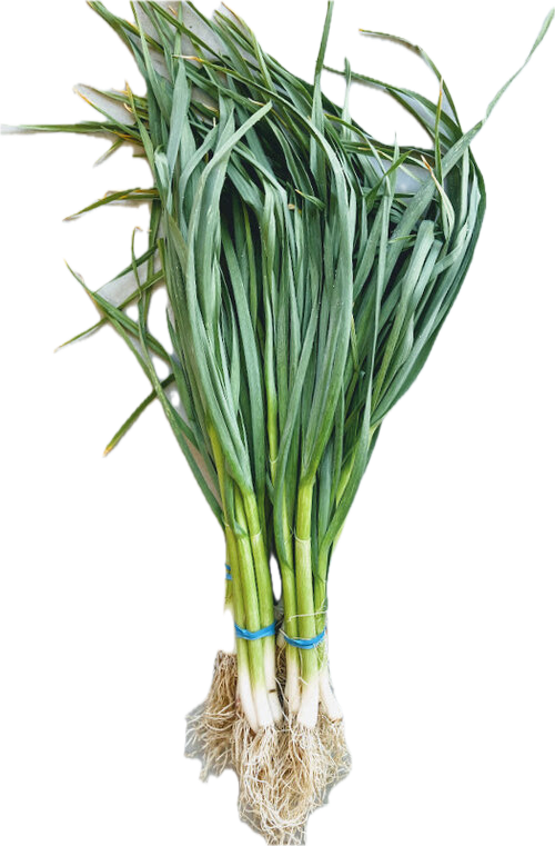 Green Garlic-लसुन हरियो - Fresh Vegetables at Mandi